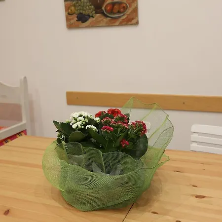 Appartamento Venturi House Roma
